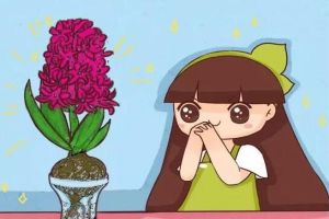 海棠树浇水不是越多越好:不同生长期的水分管理 海棠树浇水不是越多越好:不同生长期的水分管理