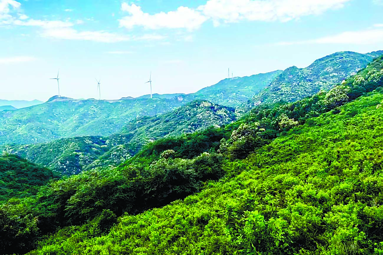 海棠树什么时候修剪?幼树、成树的修剪重点不同 海棠树什么时候修剪?幼树、成树的修剪重点不同