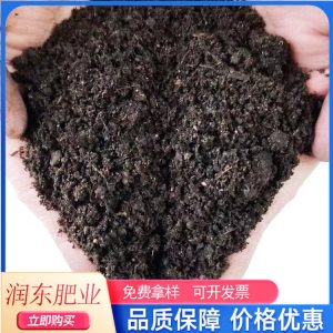海棠苗木定植后如何养护?前30天管理要点