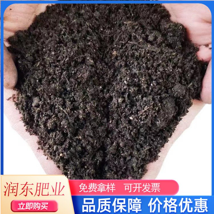 海棠苗木定植后如何养护？前30天管理要点 海棠定植养护 海棠