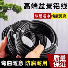 北美海棠在园林绿化中的应用特点与养护思路 北美海棠在园林绿化中的应用特点与养护思路
