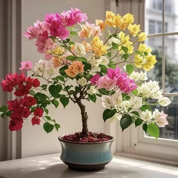 红宝石海棠如何保持良好树形？整形修剪与养护要点