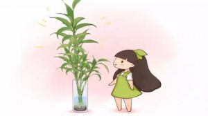 苗木运输如何减少失水?装车、覆盖与到场处理方法 苗木运输如何减少失水?装车、覆盖与到场处理方法