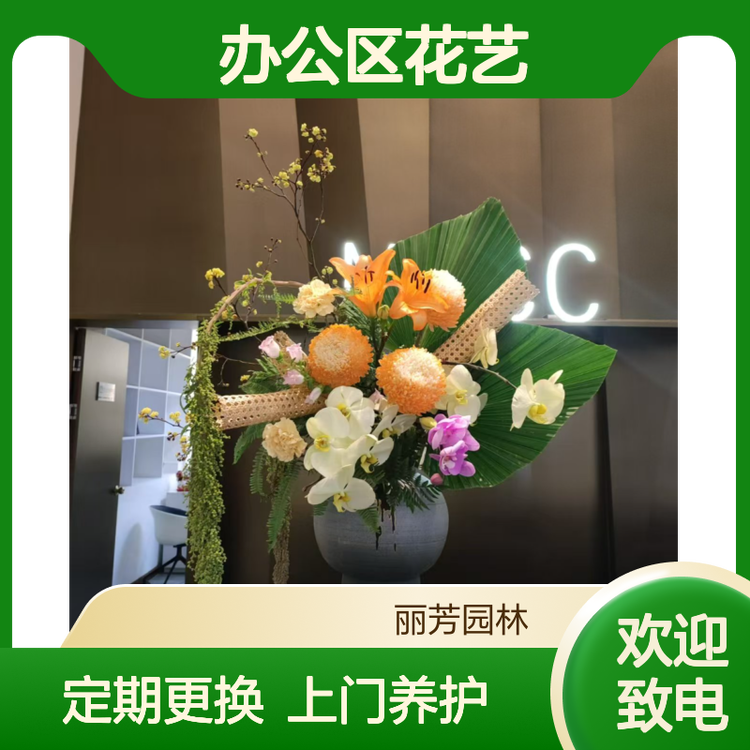 定根水怎么浇才有效?苗木移栽后的第一次浇水要点 定根水怎么浇才有效?苗木移栽后的第一次浇水要点