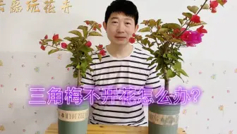 海棠花后如何管理?修剪、补肥和水分控制要点 海棠花后如何管理?修剪、补肥和水分控制要点