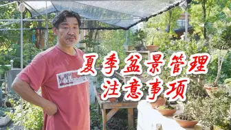 海棠苗木春季萌芽前如何管理?浇水施肥不要过早过量 海棠苗木春季萌芽前如何管理?浇水施肥不要过早过量