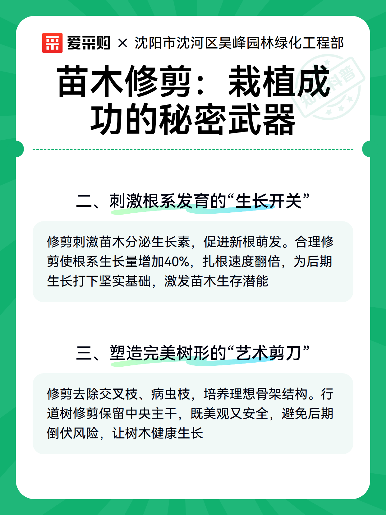 海棠秋季养护重点:控水控肥与枝条成熟度管理 海棠秋季养护重点:控水控肥与枝条成熟度管理