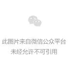 海棠苗木价格受什么影响？规格、树形和起苗方式都是因素 海棠苗木价格 海棠