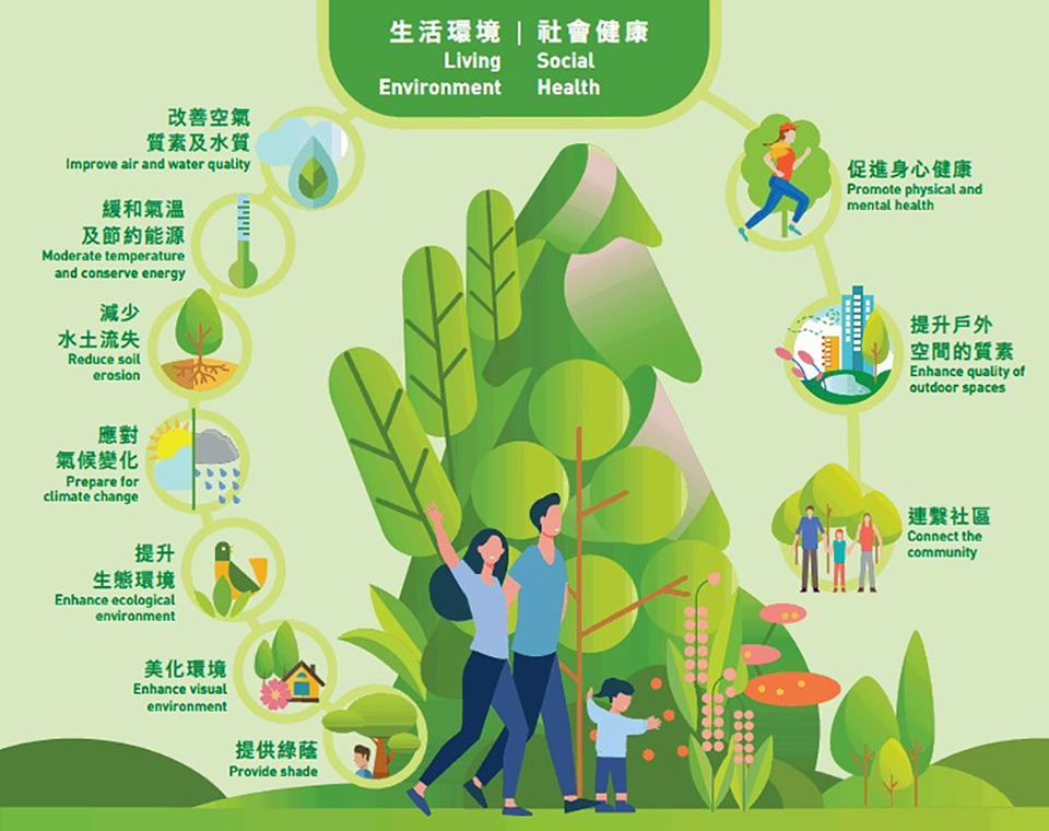 苗木采购如何做好到货计划?栽植进度与运输时间要匹配 苗木采购如何做好到货计划?栽植进度与运输时间要匹配